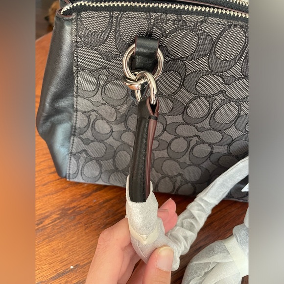 Coach F36719 Mini Christie Carryall with Pleats in Silver/Black Smoke/Black - Picture 6 of 14